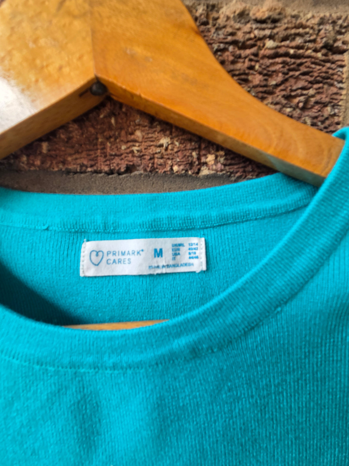 Vintage FCUK French Connection tan crop tee on wooden hanger against brick wall — back view