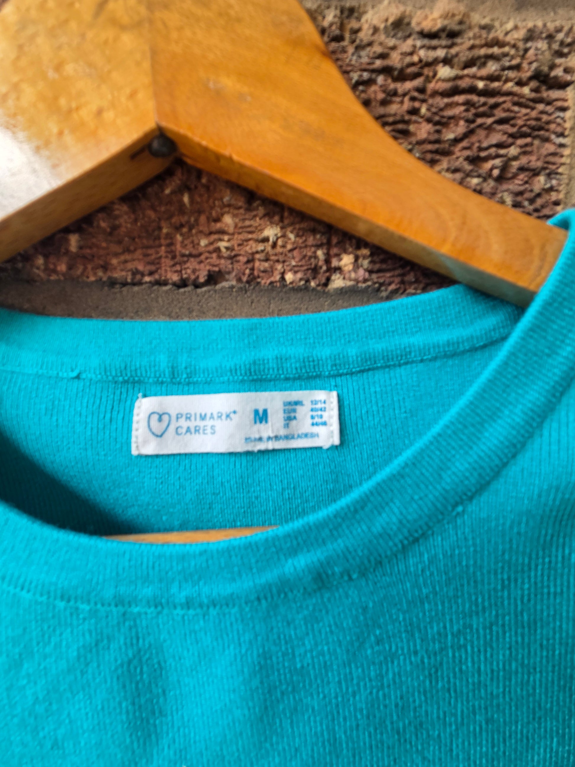 Vintage FCUK French Connection tan crop tee on wooden hanger against brick wall — back view